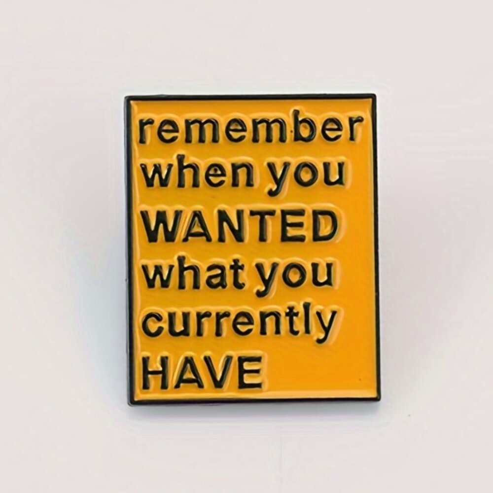 REMEMBER WHEN YOU WANTED WHAT YOU CURRENTLY HAVE ENAMEL PIN LAPEL PIN BROOCH NWT